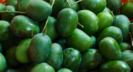 Photo of pile of raw green mangoesの写真素材