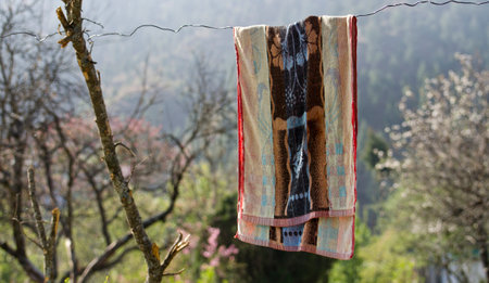 Towel drying on a clothesline in a garden.の写真素材