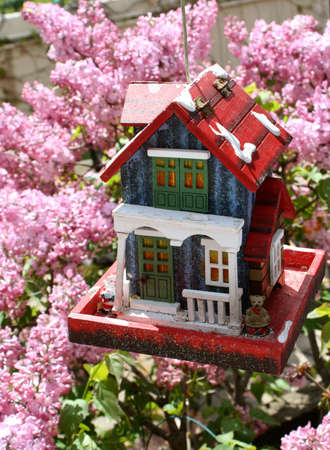 springtime bird feederの写真素材