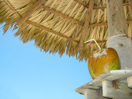 tropical coconut cocktail under beach umbrella on a sandy beachの写真素材