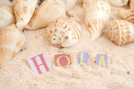 spanish hello 'hola' on sandy tropical beach with shells in the backgroundの写真素材