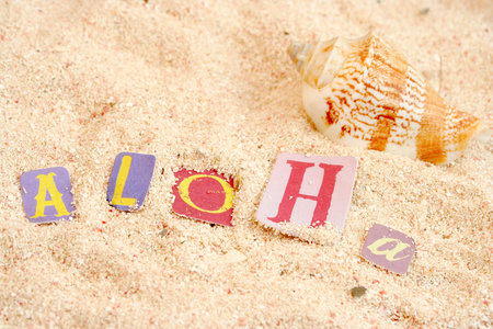 hawaiian hello  on sandy tropical beach with shells in the background