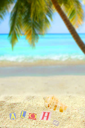 aloha on a mound of sand on a hawaiian tropical  beach with palm tree and ocean in the background      の写真素材