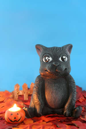 golden leafs and and black smiling cat by fence with lit jack 'o lantern on  blue sky background の写真素材