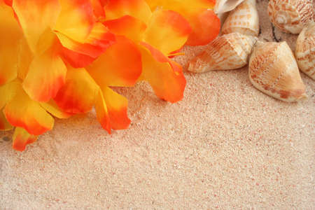 hawaiian beach background with tropical sand, seashells and a lei with copyspaceの写真素材