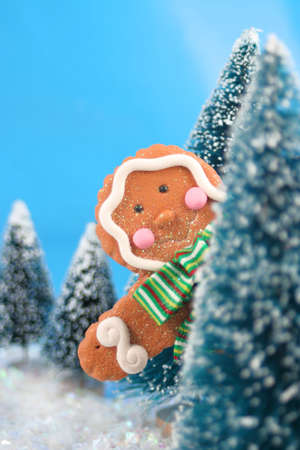winter scene in glitter, gingerbread man is playing hide and go seek or peeking from behind the treesの写真素材