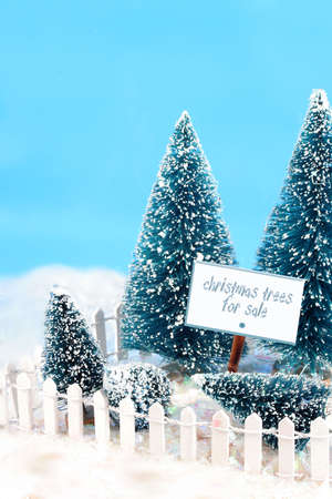 winter scene in glitter with trees, bright  blue sky,  white picket fence, and a sign stating christmas trees for saleの写真素材