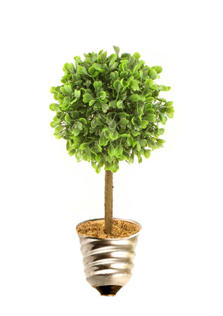 Tree in lightbulb socket symbolizing ecology and eco environmental friendly energy
