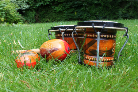 Colorful latin rhythm instruments, a set of bongo drums and a pair of maracas