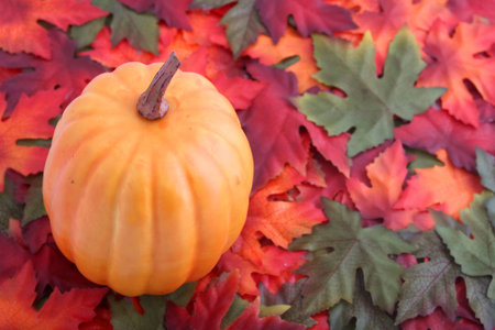 Fall leaves and orange pupmpkin great for autumn season, thanksgiving, and halloween