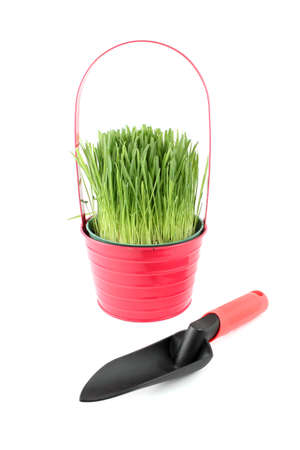 Potted green plant and trowel on a white background for indoor gardeningの写真素材