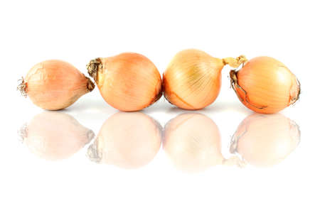 Row of white  onions on a white background with reflection (not isolated)の写真素材