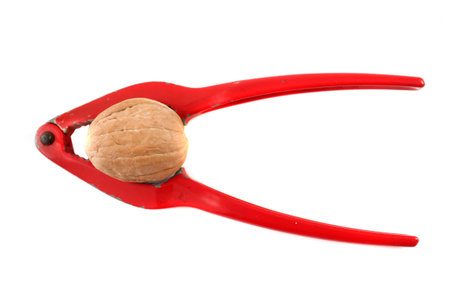 Whole walnut in  red nutcracker isolated on a white backgroundの写真素材