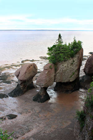 Muddy water with the low tide overlooking the Flowerpot rocks at Hopewell Rocks, New Brunswick, Canada の写真素材