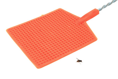 Plastic fly swatter with bug on white backgroundの写真素材