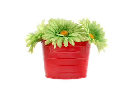 Pretty coloful gerbera daisies in a pink bucket great for spring or easter (shallow depth of field)の写真素材