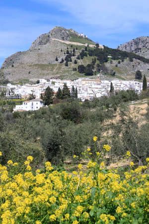 Puebla blanca a white architecture town on the side of the hill in Andalusia, Spain with flowers in frontの写真素材