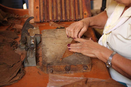 Woman makes and rolls cigars by hand in Trinidad, Cubaの写真素材