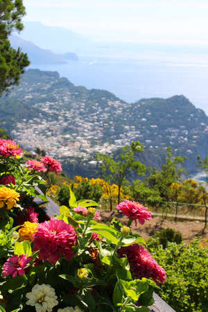 Beautiful vegetation with pink flowers on the cliff overlooking the town of Capri  focus on flowersの写真素材