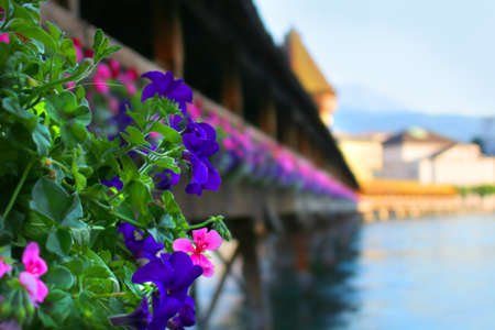 Colorful flowers on Wooden covered, Chapel Bridge located in Lucerne, Switzerland in early evening with shallow depth of field, focus on flowerの写真素材