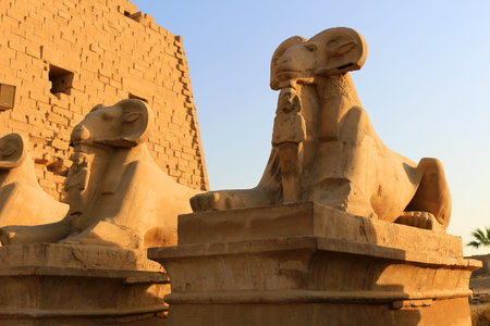 Goat statues in the Avenue of Sphinxes at the entrance of Karnak in Luxor Egypt,  Africa