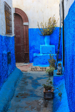 Blue painted narrow alleyway in a small town in Morocco, Africaの写真素材