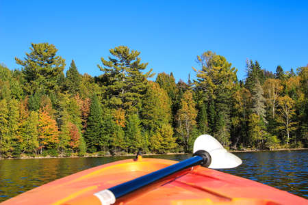 Bright orange kayak and paddle on the water in early autumn in Atlantic Canadaの写真素材