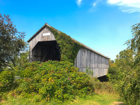 The Salmon wooden Covered Bridge near Sussex, New Brunswick, Canada, unused and overrun by plant...