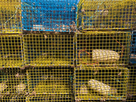 Lobster traps in different colors along a wharf in Atlantic Canada on the Bay of Fundy, New Brunswickの写真素材