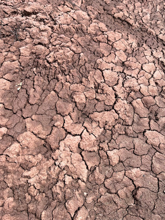 close up of dried up dirt or sand with cracks making shapes and patternsの写真素材