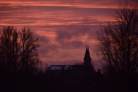 Photo of sunset over the trees, filmed in a winter time