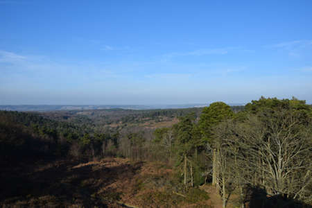 Photo of landscape, view on a forest. Filmed in a springの写真素材