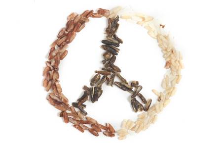 Three types of rice creating a peace symbolの写真素材