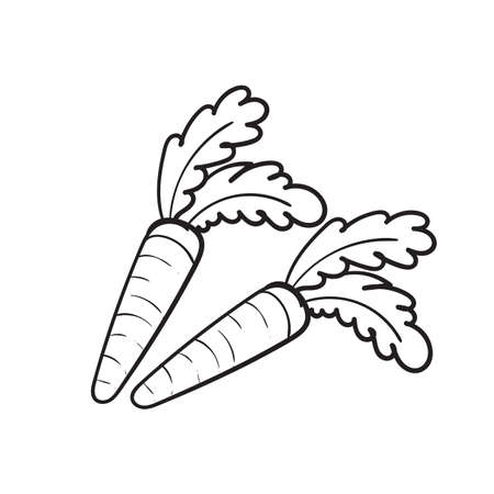 hand draw doodle carrot illustration vector isolatedのイラスト素材