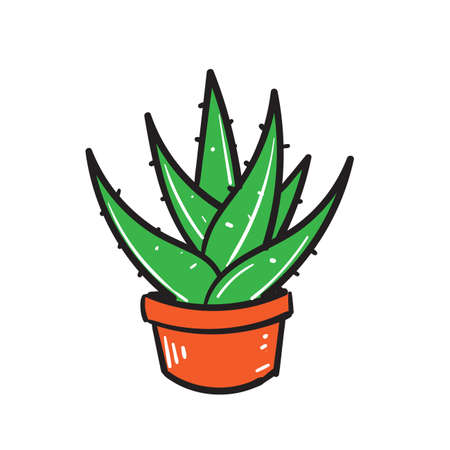 hand drawn doodle aloe vera illustration icon isolated backgroundのイラスト素材