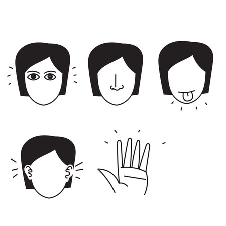 hand drawn doodle Five senses vector icon illustration setのイラスト素材