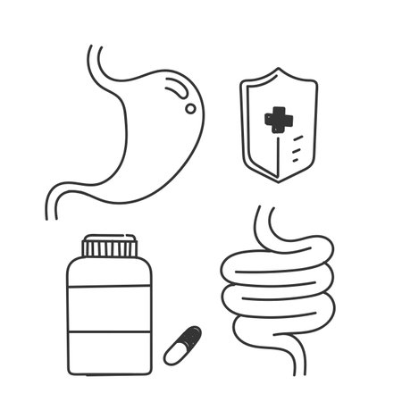 hand drawn doodle Digestion intestine stomach and probiotic icon relatedのイラスト素材
