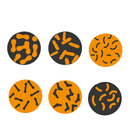hand drawn doodle microbes bacteria probiotics illustration collectionのイラスト素材