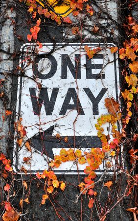 One Way Sign on Alaskan Way Viaduct Concrete Support, Covered in the leaves and Vines of Climbing Plantの写真素材