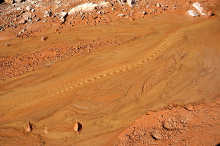 Small Desert Stream at the base of Vermilion Cliffs 