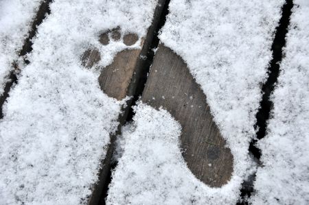 Bare Footprint in First Winter Snow の写真素材
