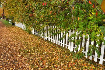 Autumn in Alaska の写真素材