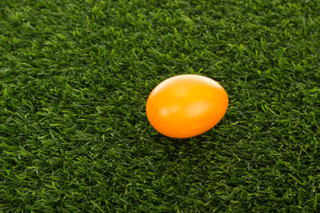 Easter eggs in grassの写真素材