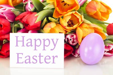 Bunch of tulips with easter egg and card  happy easterの写真素材