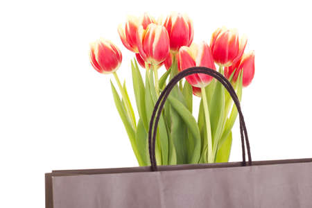 Bunch of tulips with bagの写真素材