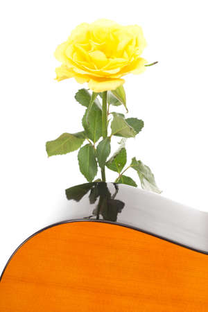 Beautiful rose with guitarの写真素材