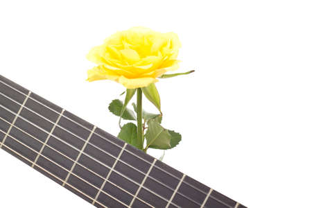 Beautiful rose with guitarの写真素材