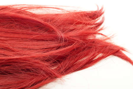 Beautiful and red spiky hairの写真素材