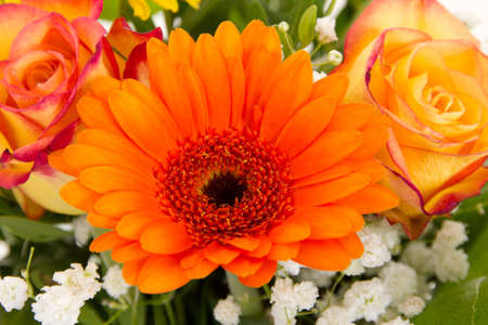 Beautiful gerbera and roses in colorful bouquetの写真素材