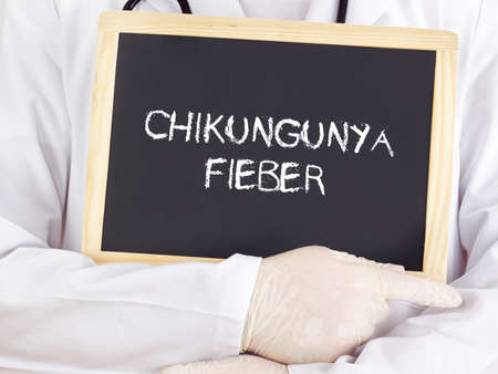 Doctor shows information: Chikungunya fever in germanの写真素材